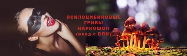 mix Вяземский