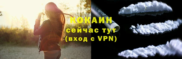 гашик Вязьма