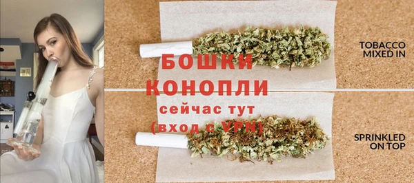 гашик Вязьма