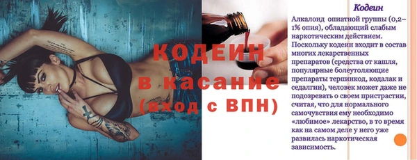 гашик Вязьма