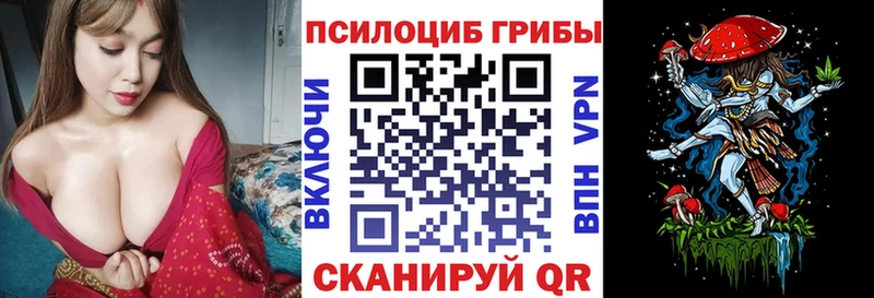 Купить где  Олёкминск  Псилоцибиновые грибы MAGIC MUSHROOMS 