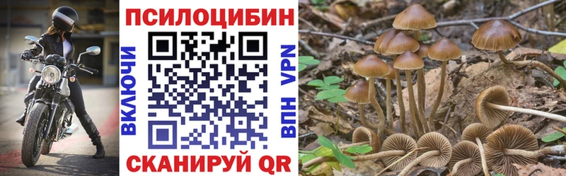 Псилоцибиновые грибы Magic Shrooms Олёкминск